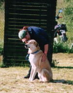Diensthundeführerausbildung (Bewachung)