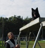Ausbildung Wachhund